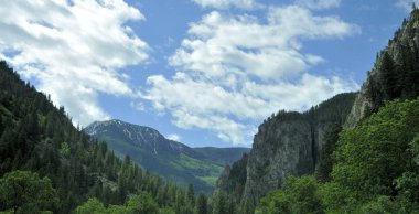 Colorado 'nun Rocky Dağları' ndaki Kristal Nehir boyunca sür