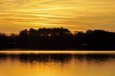 Cedar Bluff, Alabama yakınlarındaki Weiss Gölü 'nde gün doğumu