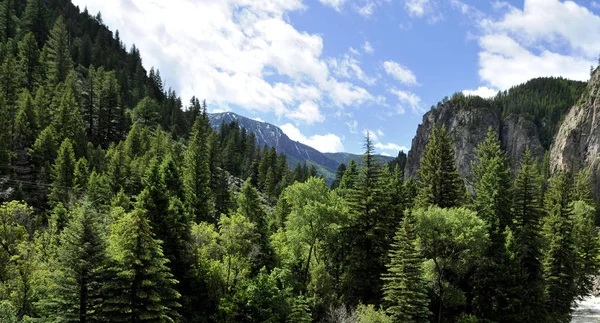 Guidare Lungo Fiume Crystal Colorado — Foto Stock