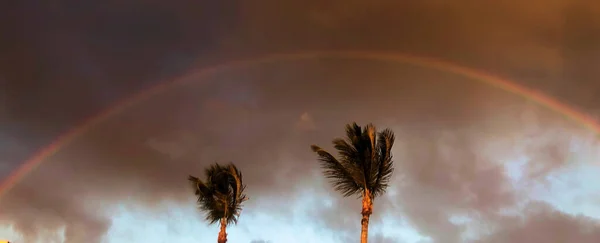 Regenboog Van Het Caribische Eiland Sint Maarten — Stockfoto