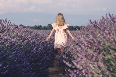Fransa 'nın Provence kentindeki Valensole yakınlarındaki lavanta tarlaları. Yazın açan lavanta çiçekleri. Bir kız lavanta tarlalarında yürüyor, arkadan bir manzara ve eline lavanta çiçekleri dokunuyor..