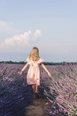Fransa 'nın Provence kentindeki Valensole yakınlarındaki lavanta tarlaları. Çiçekli lavanta. Bir kız lavanta tarlalarında yürür ve lavanta çiçeklerine dokunur..
