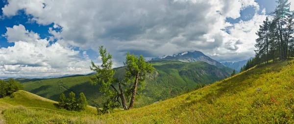 Splendida valle con vista sulle montagne, la strada e gli alberi — Foto Stock