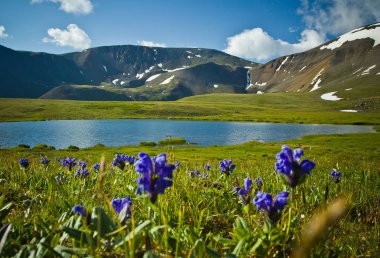 Güzel görünüm kar dağlar ve açık göl