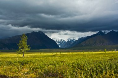 Güzel görünüm kar dağlar ve güneş ışığı ve fırtına gökyüzü ile yeşil alan