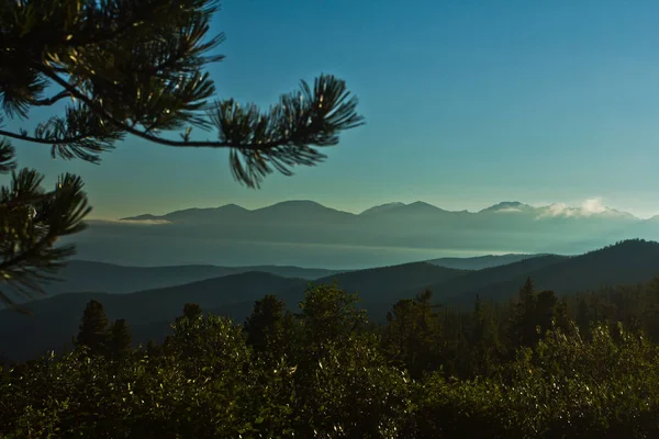 Vista deslumbrante para as montanhas no pôr do sol e floresta verde com luz solar e céu — Fotografia de Stock