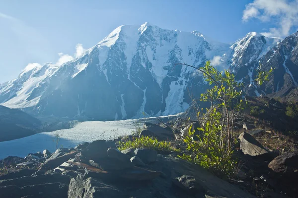Beautifull dalen med utsikt över snö berg och glaciär — Stockfoto