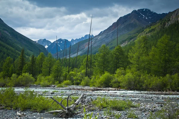 Beautifull  valley with view to snow mountains, forest and river — Stock Photo, Image