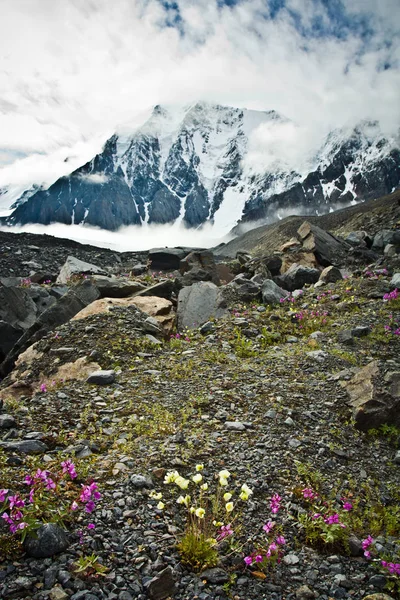 Splendida valle con vista sulle montagne nei chiostri e fiori nelle pietre — Foto Stock