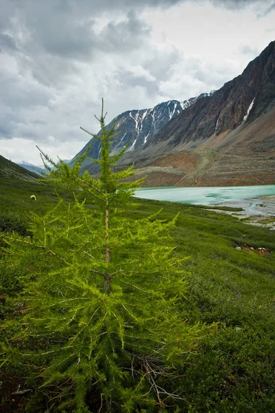 Güzel dağlar, açık turkuaz Gölü ve küçük yeşil ağaç görünümüne — Stok fotoğraf