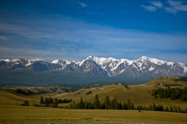 Güzel Vadi Manzaralı mavi gökyüzü ile bozkır, orman ve kar dağlara