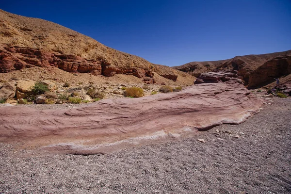 Red canyon Israil i słońce świeci z zielonych roślin na pustyni — Zdjęcie stockowe