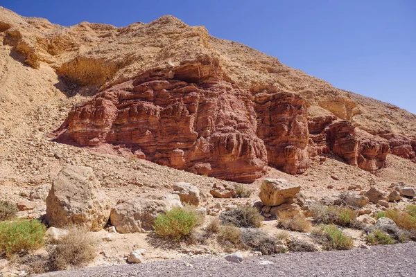 Red canyon Israil i słońce świeci z zielonych roślin na pustyni — Zdjęcie stockowe