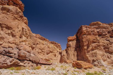 Israil ile güneşli gün içinde Red Canyon yolu kuru bitkiler ve mavi gökyüzü