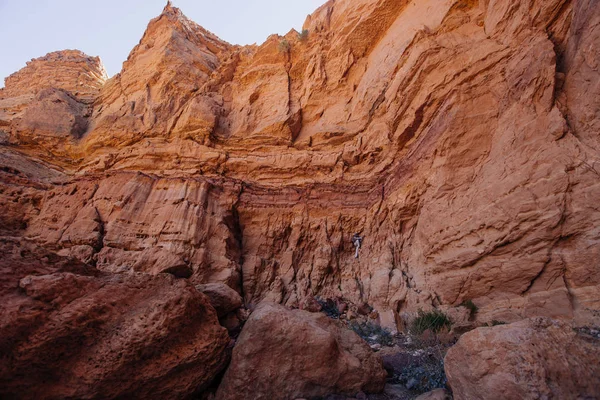 Sposób na Red canyon w Israil w słoneczny dzień z suche drzewa i niebieski niebo — Zdjęcie stockowe