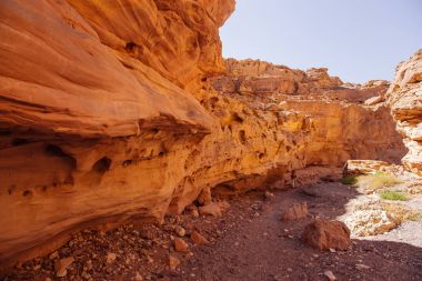 Israil ile güneşli gün içinde Red Canyon yolu kuru ağaç ve mavi gökyüzü