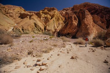 Israil kırmızı Dağları, yeşil bitkiler ve mavi gökyüzü güneşli günde çölde şekilde