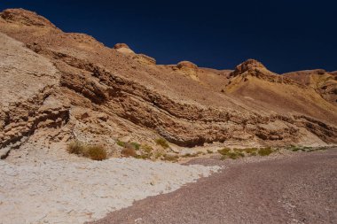 Israil kırmızı Dağları, yeşil bitkiler ve mavi gökyüzü güneşli günde çölde şekilde