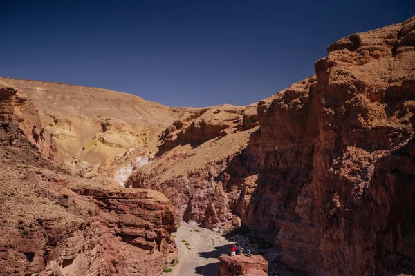 Chemin dans le désert dans l'Israil par une journée ensoleillée avec des montagnes rouges, des plantes vertes et un ciel bleu — Photo