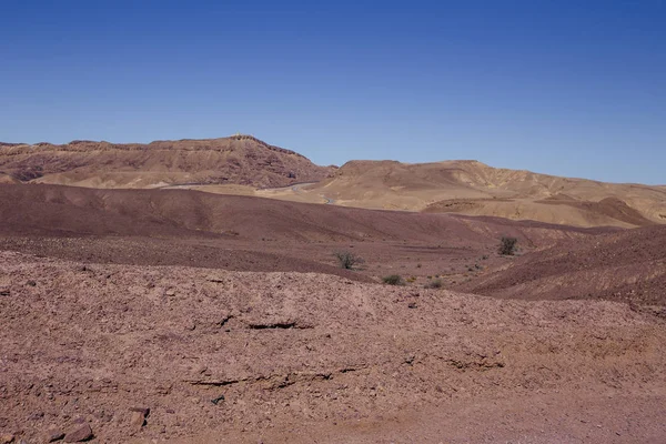 Weg in die Wüste in der Israil bei sonnigem Tag mit roten Bergen, grünen Pflanzen und blauem Himmel — Stockfoto