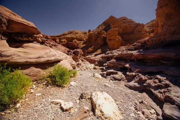 Sposób na pustyni w Israil w słoneczny dzień z góry czerwony, rośliny zielone i błękitne niebo — Zdjęcie stockowe
