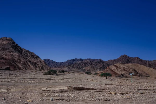 Chemin dans le désert dans l'Israil par une journée ensoleillée avec des montagnes rouges, des arbres verts et un ciel bleu — Photo