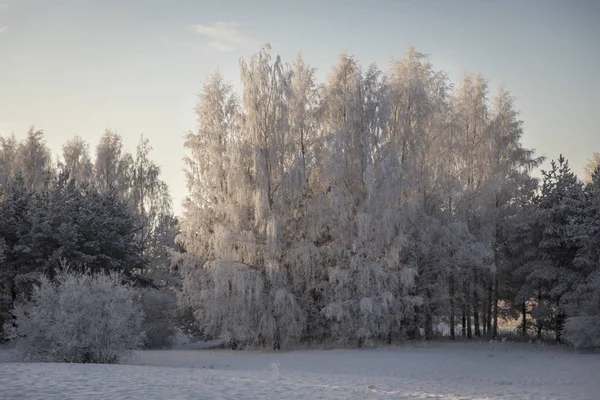 Paisaje invernal de Pori, Finlandia —  Fotos de Stock