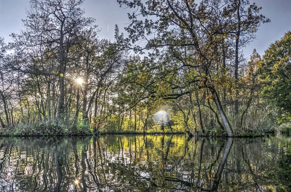 Niedriger Nachmittagsschimmer Durch Herbstbäume Die Sich Einem Teich Spiegeln — Stockfoto