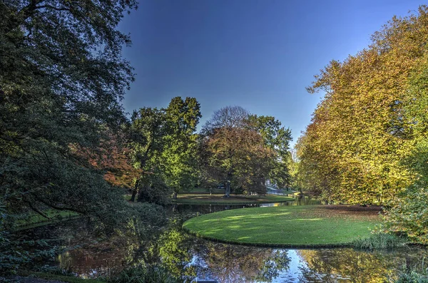 Rasenfläche Und Reflektierender Teich Mit Verschiedenen Bäumen Drumherum Park Rotterdam — Stockfoto