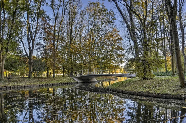 歩道橋 木と青空が公共の公園の池に反射して呼ばれるロッテルダム オランダの Zuiderpark — ストック写真
