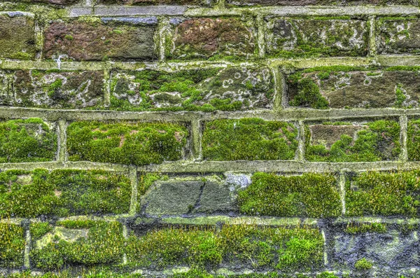 Old city wall covered with moss on a rainy day with tiny water droplets