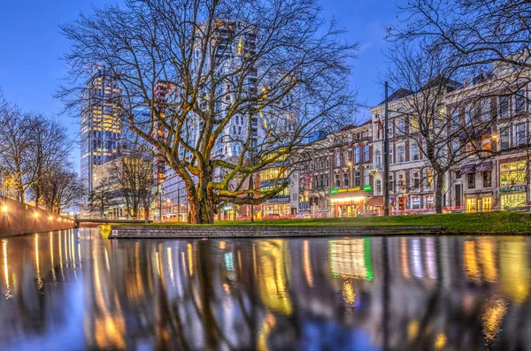 Rotterdam Nederland December 2015 Bomen Gebouwen Westersingel Weerspiegelen Stilstaande Wateren — Stockfoto