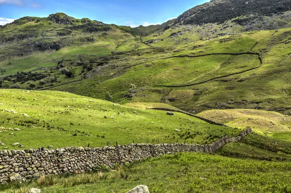 Mur Pierre Subdivisant Paysage Près Coniston Dans District Lac English — Photo