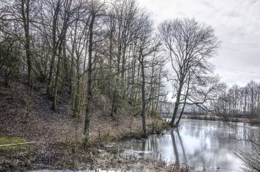 Ağaçlar ve çalılar ince buz üzerinde bir su birikintisi içinde kışın yansıtan