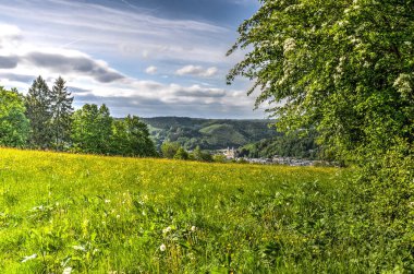 Bir çim alan doğru Ardennes, Belçika Malmedy şehir genelinde görüntülemek