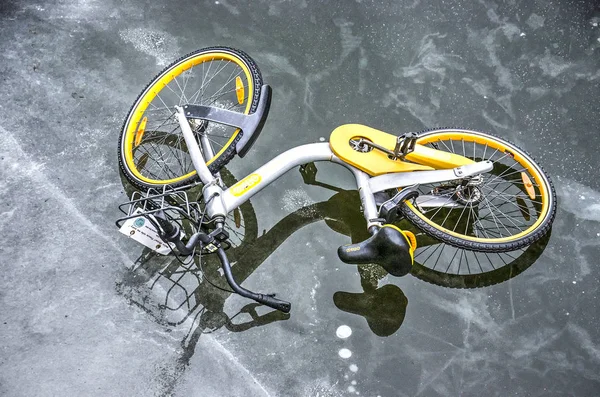黄色の自転車をうっかり共有運河の薄いと部分的に溶けた氷の上処分ロッテルダム オランダ 2018 — ストック写真