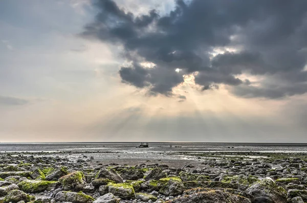 Dramatic Cloudsscape Mudflats Morecambe Bay England Littered Moss Covered Rocks — Stock Photo, Image