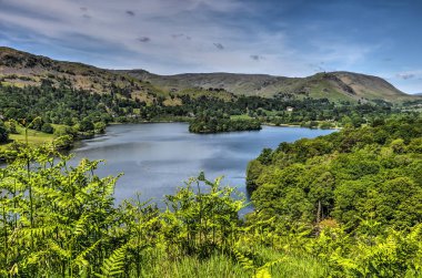 Eğrelti otları ve İngiliz Lake District Milli Parkı Gölü Grasmere doğru diğer bitki örtüsü ile göster