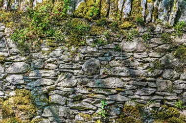 Bir sürü küçük eğrelti otları ve İngiliz Lake District Milli Parkı yosun ile düzensiz şekilli taşların eski duvar inşa