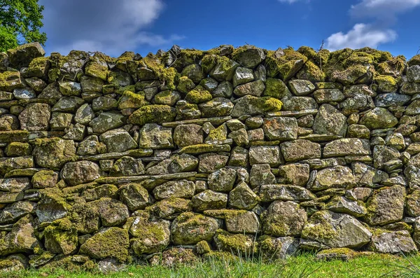 Старі Стіни Побудовані Каменів Накопиченням Кругле Плоске Моху Ростуть Англійська — стокове фото