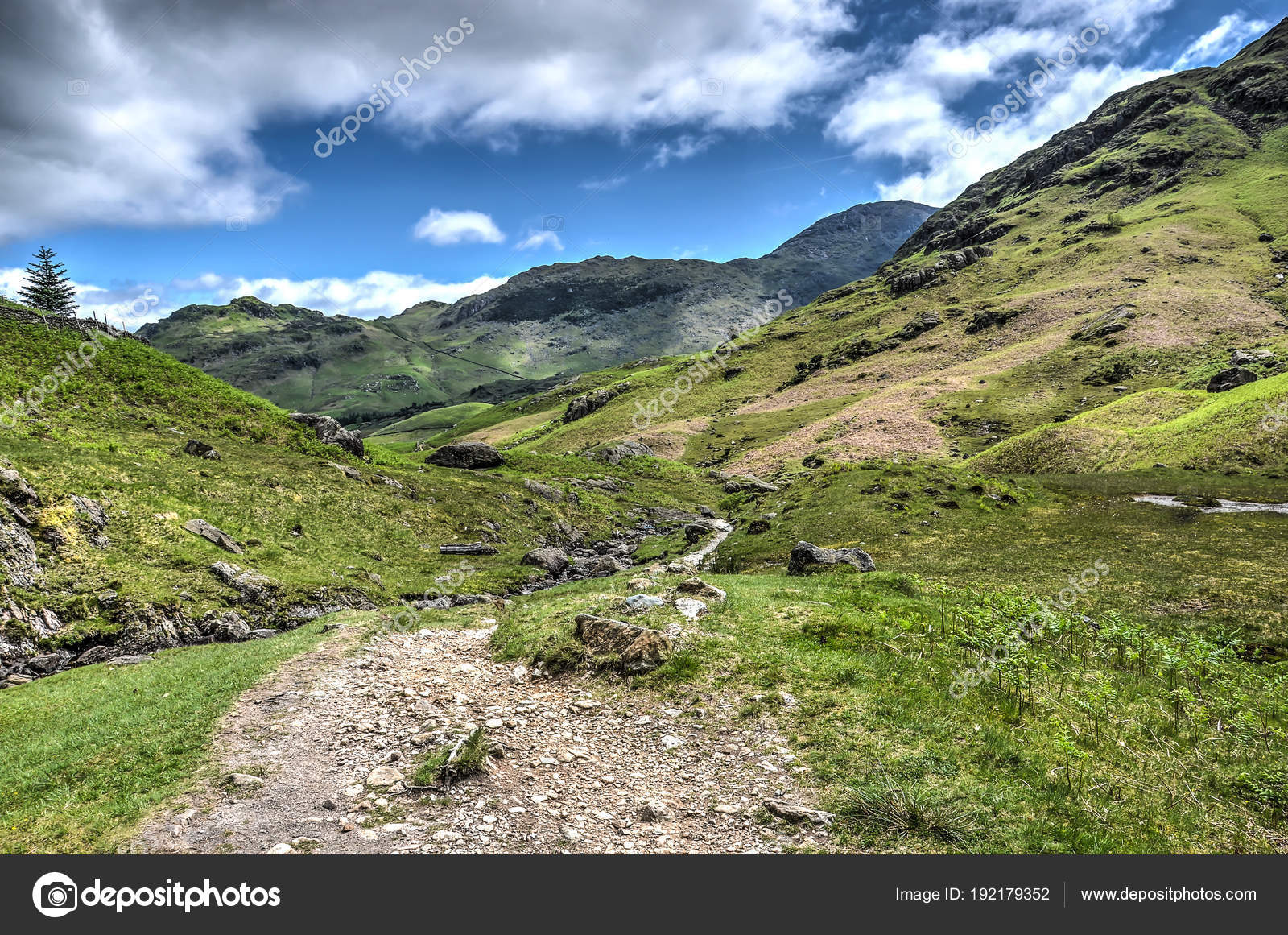 Randonnée Pédestre Chemin Français Paysage Montagne Dans