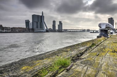 Yosunlu Ahşap Kirişler Nieuwe Maas nehri Rotterdam'daki Erasmus Bridge arka planda bulanık ile iskele üzerinde çatlaklar büyüyen çimen