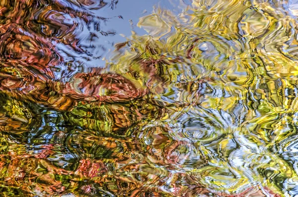 Reflexão Várias Árvores Tons Vermelhos Amarelos Laranja Nas Ondulações Uma — Fotografia de Stock