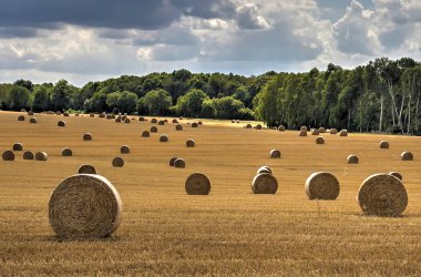 Saman balya merkezi Fransa, taşıma için bekleyen hafifçe eğimli alan düzinelerce