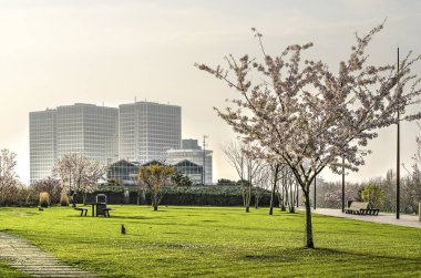 Rotterdam, Hollanda, 12 Nisan 2018: 