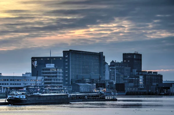 Rotterdam Países Bajos Enero 2017 Vista Del Puerto Maashaven Con —  Fotos de Stock