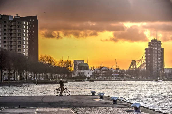 カーテンドレヒト シャルロワ Wilhelminapier から見た地区上ロッテルダム オランダ 2017 燃えるようなサンセット — ストック写真