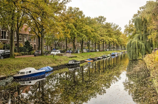 Zwolle Nizozemsko Listopadu 2019 Pohled Reflexní Kanál Nieuwe Vecht Lemovaný — Stock fotografie