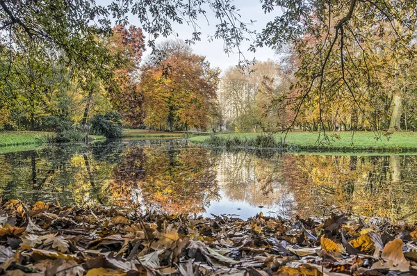 Scena Jesienna Park Rotterdam Holandia Kolorowymi Drzewami Opadłymi Liśćmi Odbijającym — Zdjęcie stockowe