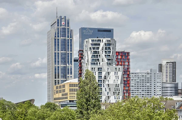 Rotterdam Nederländerna Juni 2019 Över Trädtopparna Vid Westersigenlkanalen Mot Huvudstråket — Stockfoto